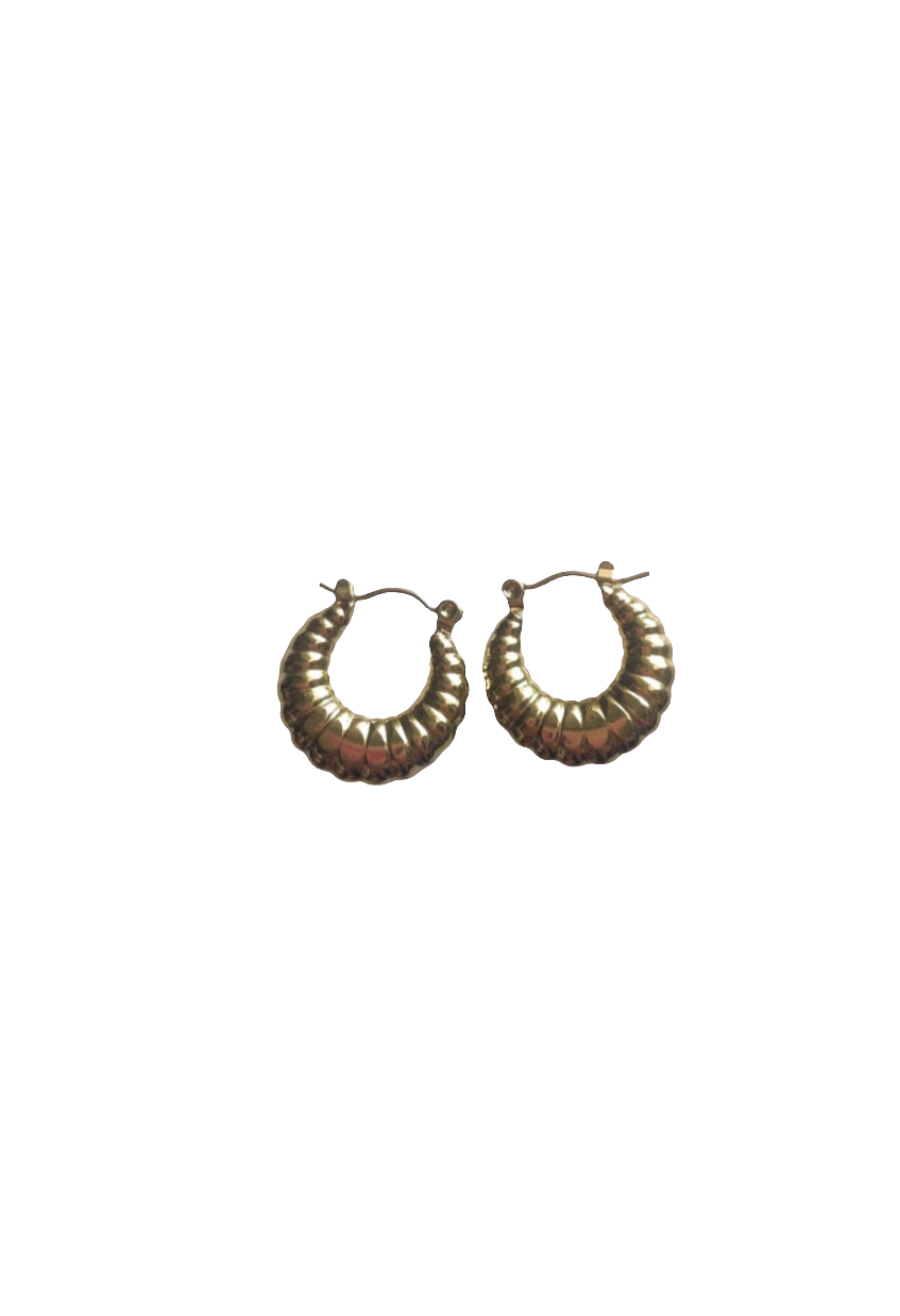 Sea shell hoops